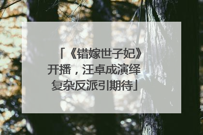 《错嫁世子妃》开播，汪卓成演绎复杂反派引期待