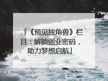 《预见独角兽》栏目：解锁创业密码，助力梦想启航