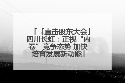 「直击股东大会」四川长虹：正视“内卷”竞争态势 加快培育发展新动能