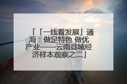 「一线看发展」通海：做足特色 做优产业——云南县域经济样本观察之二