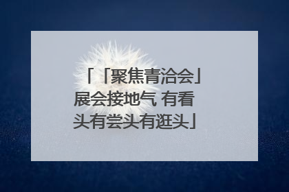 「聚焦青洽会」展会接地气 有看头有尝头有逛头