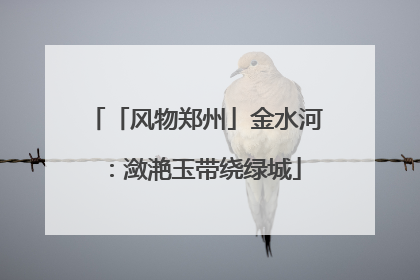 「风物郑州」金水河：潋滟玉带绕绿城