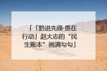 「黔进先锋·贵在行动」赵大志的“民生账本”画满勾勾