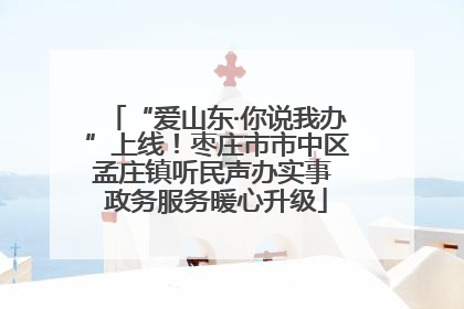 “爱山东·你说我办”上线！枣庄市市中区孟庄镇听民声办实事 政务服务暖心升级