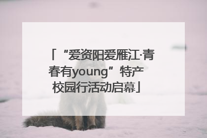 “爱资阳爱雁江·青春有young”特产校园行活动启幕