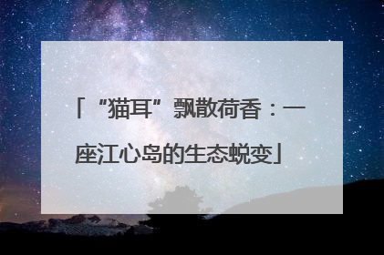 “猫耳”飘散荷香：一座江心岛的生态蜕变