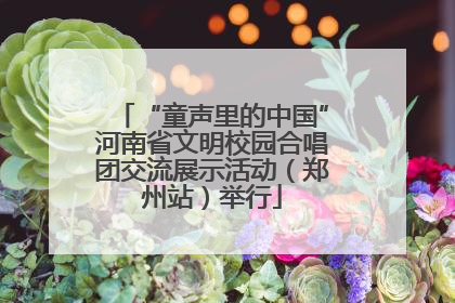 “童声里的中国”河南省文明校园合唱团交流展示活动（郑州站）举行