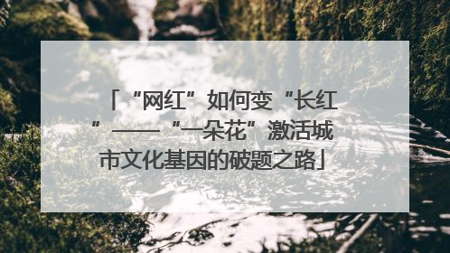 “网红”如何变“长红”——“一朵花”激活城市文化基因的破题之路