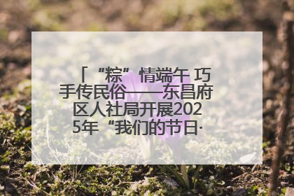 “粽”情端午 巧手传民俗——东昌府区人社局开展2025年“我们的节日·端午”包粽子活动
