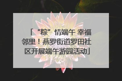 “粽”情端午 幸福邻里！燕罗街道罗田社区开展端午游园活动