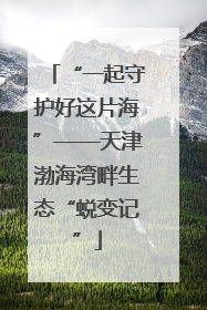 “一起守护好这片海”——天津渤海湾畔生态“蜕变记”