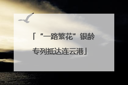 “一路繁花”银龄专列抵达连云港