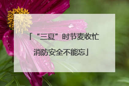 “三夏”时节麦收忙 消防安全不能忘