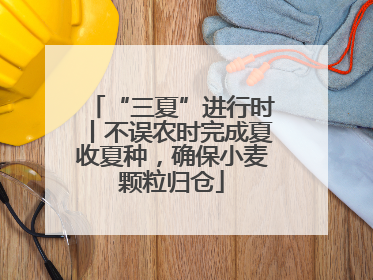 “三夏”进行时丨不误农时完成夏收夏种，确保小麦颗粒归仓