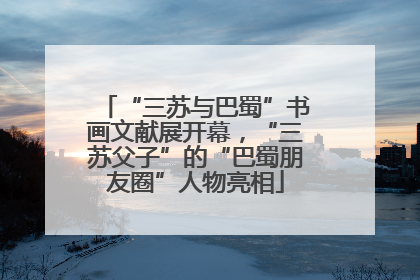 “三苏与巴蜀”书画文献展开幕，“三苏父子”的“巴蜀朋友圈”人物亮相