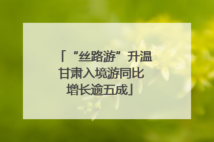 “丝路游”升温 甘肃入境游同比增长逾五成