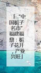 “中国栀子名市”福建福鼎：栀子花开，产业兴旺