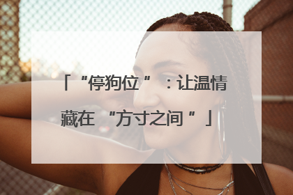 “停狗位 ”：让温情藏在 “方寸之间 ”