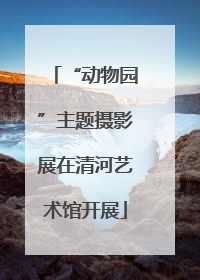 “动物园”主题摄影展在清河艺术馆开展