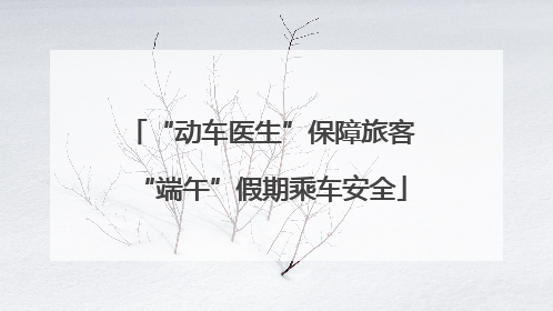 “动车医生”保障旅客“端午”假期乘车安全