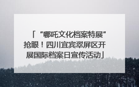 “哪吒文化档案特展”抢眼！四川宜宾翠屏区开展国际档案日宣传活动