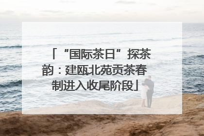 “国际茶日”探茶韵：建瓯北苑贡茶春制进入收尾阶段