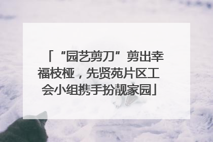 “园艺剪刀”剪出幸福枝桠，先贤苑片区工会小组携手扮靓家园