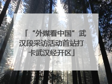 “外媒看中国”武汉段采访活动首站打卡武汉经开区