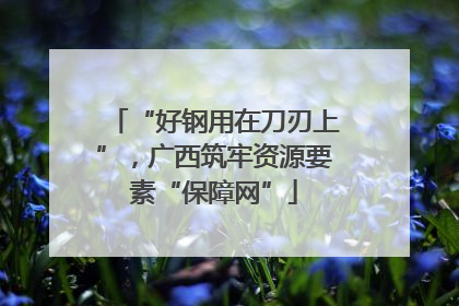“好钢用在刀刃上”，广西筑牢资源要素“保障网”