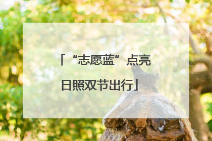 “志愿蓝”点亮日照双节出行