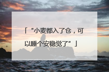 “小麦都入了仓，可以睡个安稳觉了”