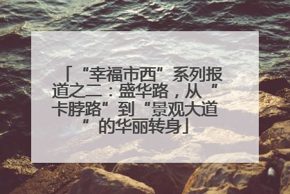 “幸福市西”系列报道之二：盛华路，从“卡脖路”到“景观大道”的华丽转身