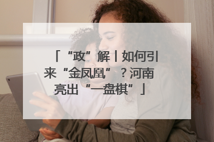 “政”解丨如何引来“金凤凰”？河南亮出“一盘棋”