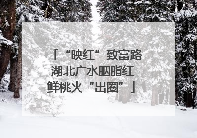 “映红”致富路 湖北广水胭脂红鲜桃火“出圈”