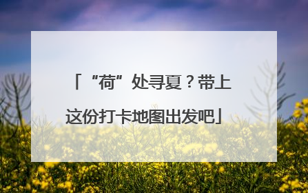 “荷”处寻夏？带上这份打卡地图出发吧