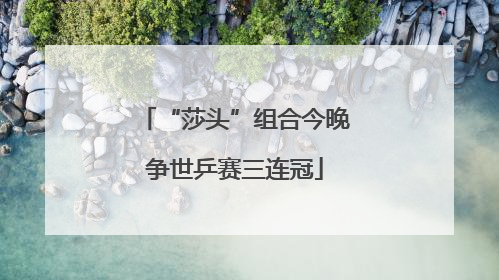 “莎头”组合今晚争世乒赛三连冠