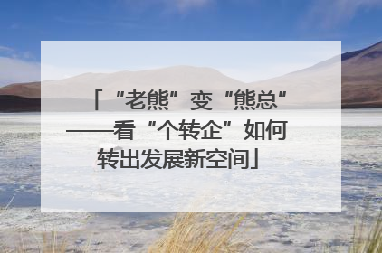 “老熊”变“熊总”——看“个转企”如何转出发展新空间