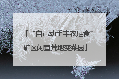 “自己动手丰衣足食”矿区闲置荒地变菜园