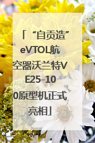 “自贡造”eVTOL航空器沃兰特VE25-100原型机正式亮相