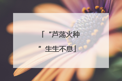 “芦荡火种”生生不息