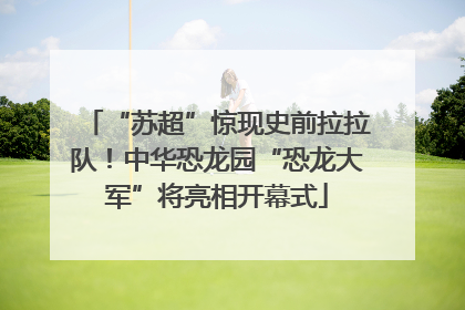 “苏超”惊现史前拉拉队！中华恐龙园“恐龙大军”将亮相开幕式