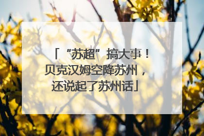 “苏超”搞大事！贝克汉姆空降苏州，还说起了苏州话