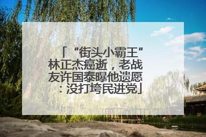 “街头小霸王”林正杰癌逝，老战友许国泰曝他遗愿：没打垮民进党