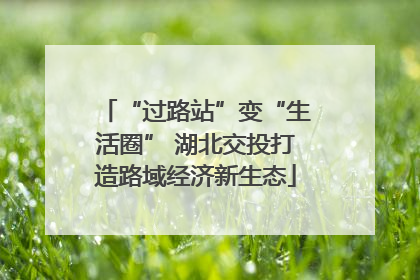 “过路站”变“生活圈” 湖北交投打造路域经济新生态