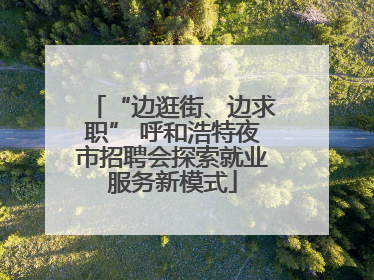 “边逛街、边求职” 呼和浩特夜市招聘会探索就业服务新模式
