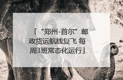 “郑州-首尔”邮政货运航线复飞 每周3班常态化运行