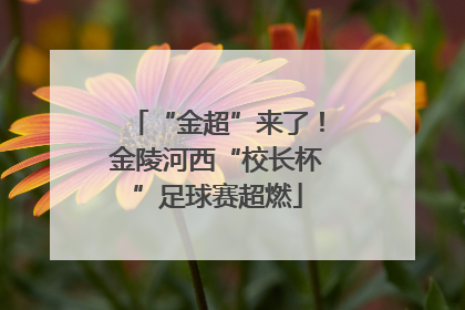 “金超”来了！金陵河西“校长杯”足球赛超燃