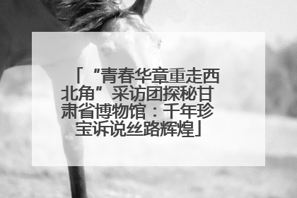 “青春华章重走西北角”采访团探秘甘肃省博物馆：千年珍宝诉说丝路辉煌