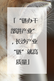 “链办干部讲产业”，长沙产业“链”就高质量