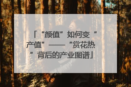 “颜值”如何变“产值”——“赏花热”背后的产业图谱
